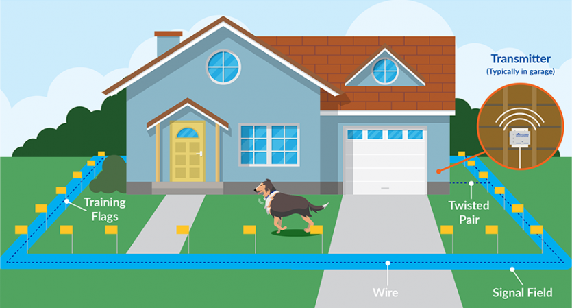 Electric dog fence installation companies top